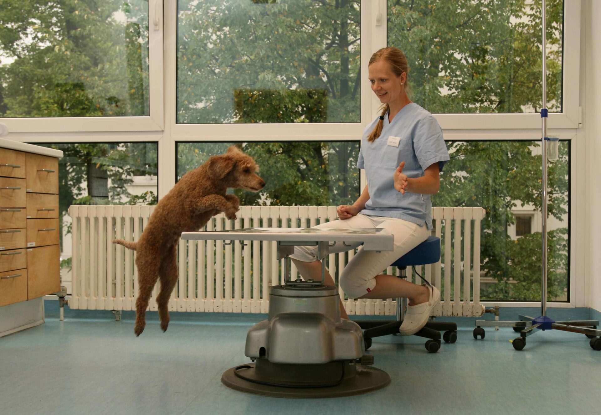 Medical Training mit dem Hund