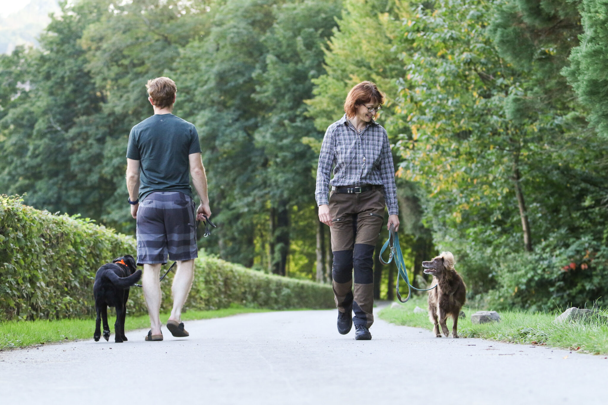 „Hundeführerschein im Fokus Von der optimalen Vorbereitung bis zur erfolgreichen