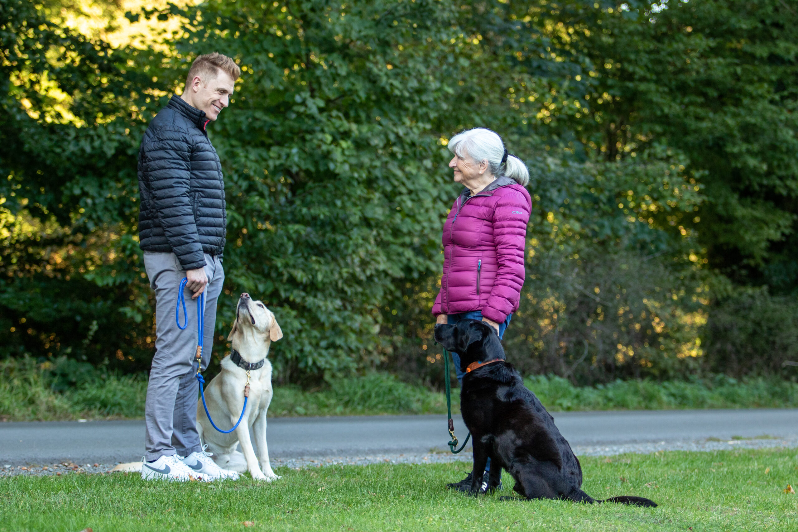 Prüferschulung BHV-Hundeführerschein - Altprüfer*